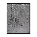 Cabin in the Woods Postcards