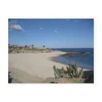 Cabo del Sol - Golf Course Post Cards
