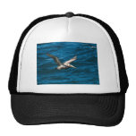 Cabo Pelican 1 Trucker Hat