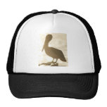 Cabo Pelican 3 Mesh Hat