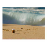 Cabo San Lucas beach 10 Post Card