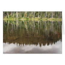 Cabot Lake autumn Cards