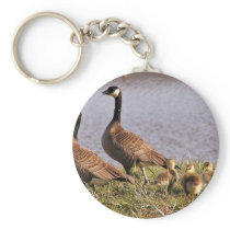Cackling Canada goose brood Keychains
