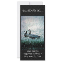 Cackling Canada goose pair Custom Rack Card