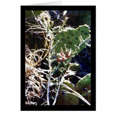 Cacti Greeting Card by Sky_Blue_Photography