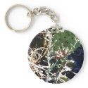Cacti keychains