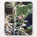 Cacti mousepads