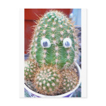 cactieye post cards