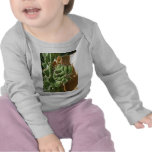 Cactus Close-up 3 Shirts