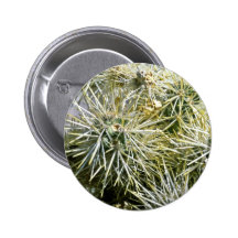 Cactus Closeup Button