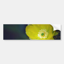 Cactus flower and meaning bumper stickers
