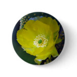 Cactus flower and meaning buttons