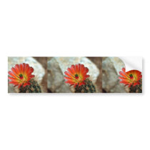 Cactus flower bumper stickers