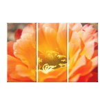 Cactus Flower Canvas Prints