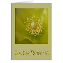 Cactus Flower Card