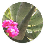 Cactus Flower Gifts stickers