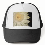 Cactus flower hats