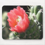 Cactus Flower Mouse Mats