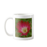 Cactus Flower mugs