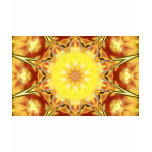 Cactus Flower t-shirts