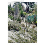 Cactus Garden At Balboa Park Greeting Cards
