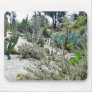 Cactus Garden At Balboa Park Mousepad