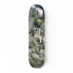 Cactus Garden At Balboa Park skateboards