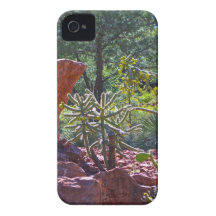 Cactus Garden iPhone 4 Case-Mate Case