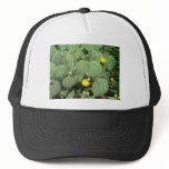 Cactus Hat