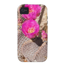 Cactus iPhone 4 Case