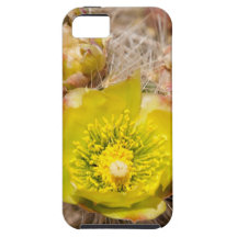 Cactus iPhone 5 Covers