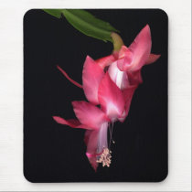 Cactus mousepads