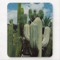 Cactus Mouse Pads