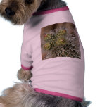 Cactus Needles In Anza Borrego Desert pet clothing