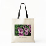 Cactus, Osteospermum bags