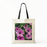 Cactus, Osteospermum  flowers bags