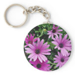 Cactus, Osteospermum  flowers keychains
