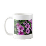 Cactus, Osteospermum  flowers mugs