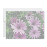 Cactus, Osteospermum invitations