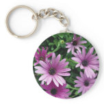 Cactus, Osteospermum keychains