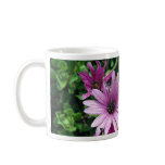 Cactus, Osteospermum mugs