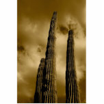 cactus photosculpture cut out