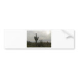 Cactus picture bumper stickers