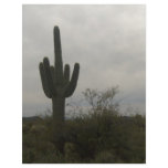 Cactus picture flyers