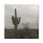 Cactus picture magnets