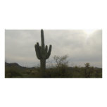 Cactus picture photo cards