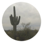 Cactus picture stickers