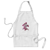 Cactus pink and white flower, succulent bloom aprons