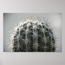 Cactus Print