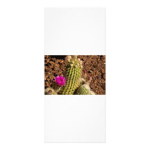 Cactus rack cards